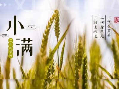 520，給您“滿”心誠意